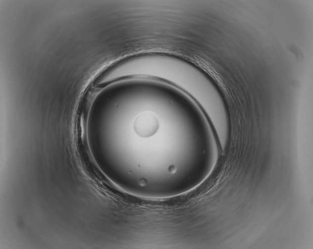 X0000113530676200909181135