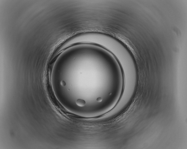 X0000113530677200909181135