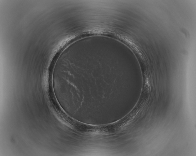 X0000113530678200909181135