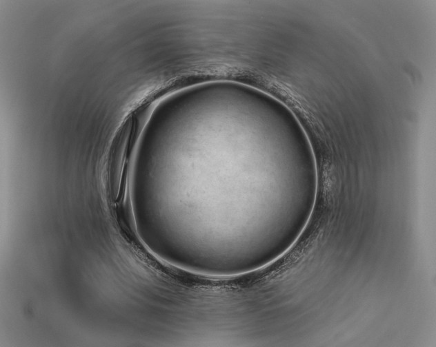 X0000113530679200909181135