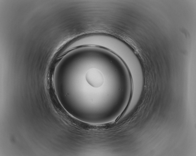 X0000113530680200909181135