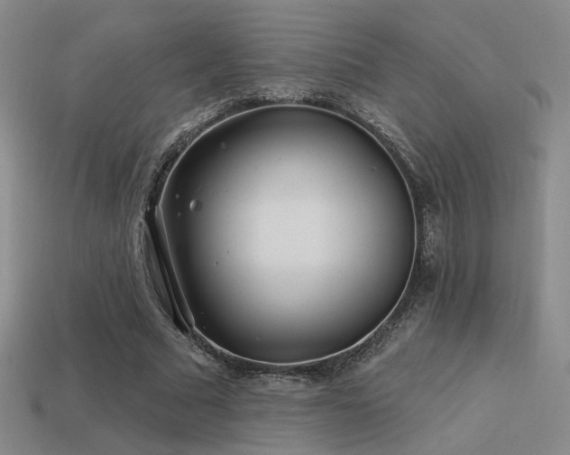 X0000113530681200909181135
