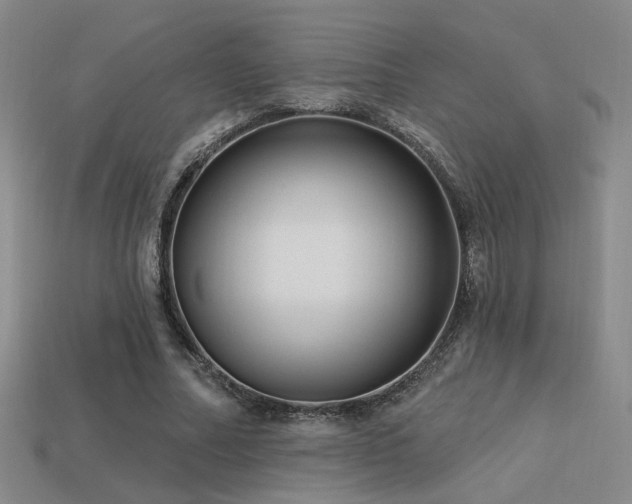 X0000113530682200909181135
