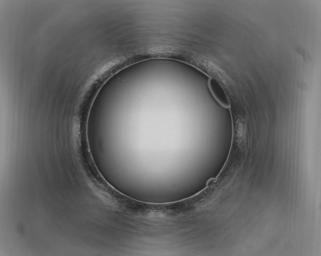 X0000113530684200909181135