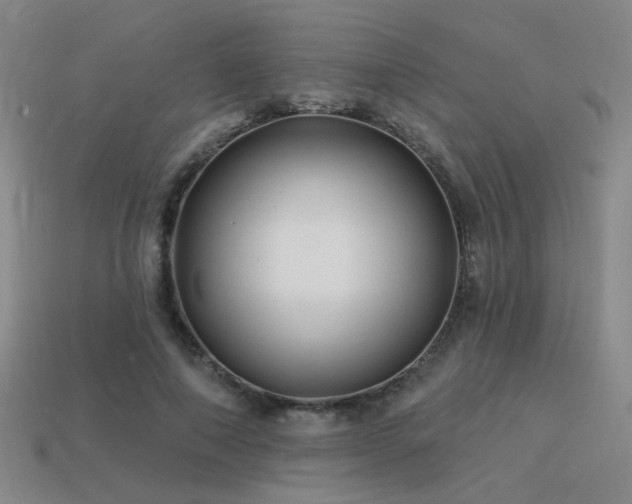 X0000113530690200909181135