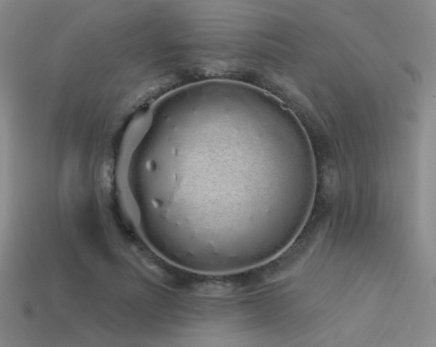 X0000113530691200909181135