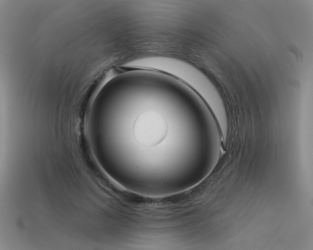 X0000113530692200909181135