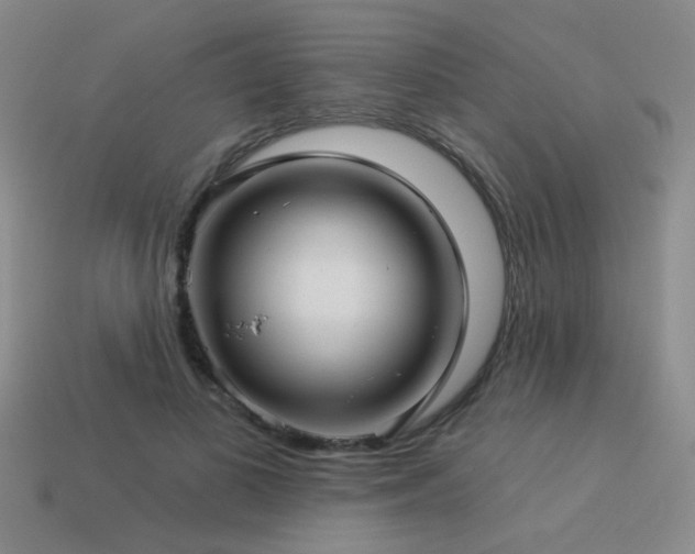 X0000113530693200909181135