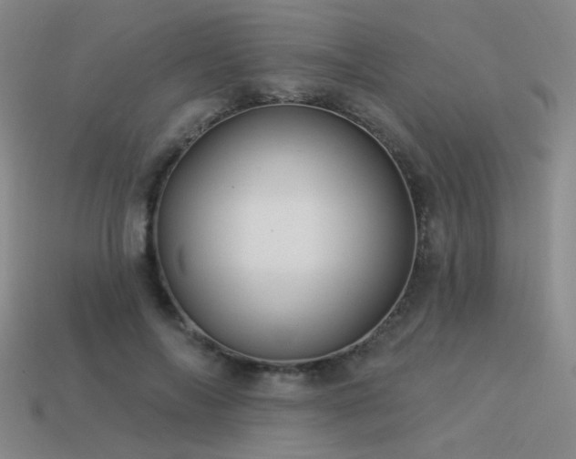 X0000113530694200909181135