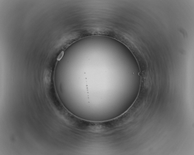 X0000113530695200909181135