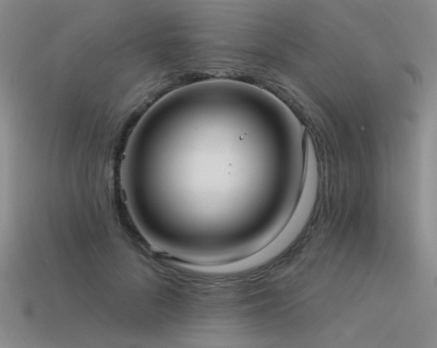 X0000113530696200909181135