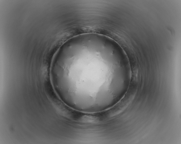 X0000113530699200909181135