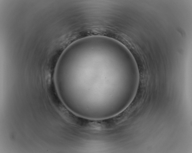 X0000113530703200909181135
