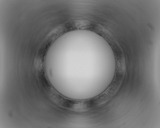 X0000113530705200909181135