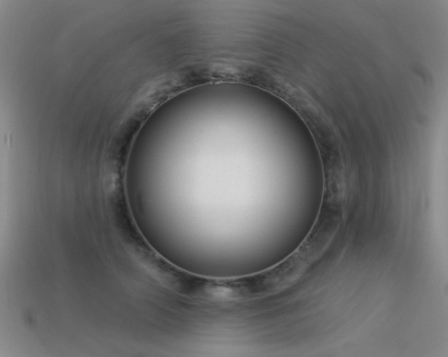 X0000113530706200909181135