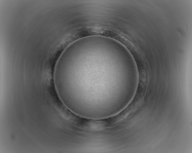 X0000113530707200909181135