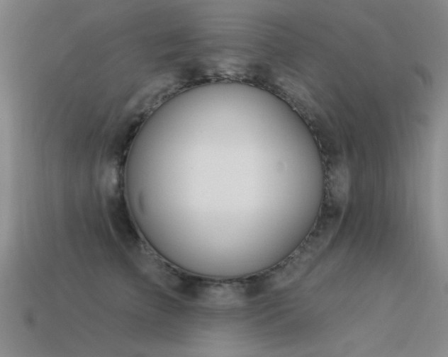 X0000113530709200909181135