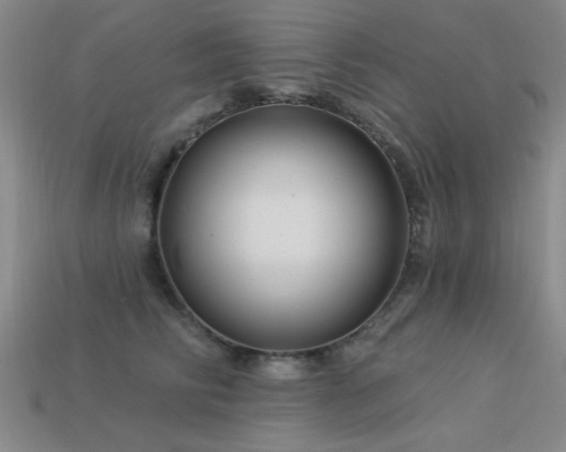 X0000113530710200909181135