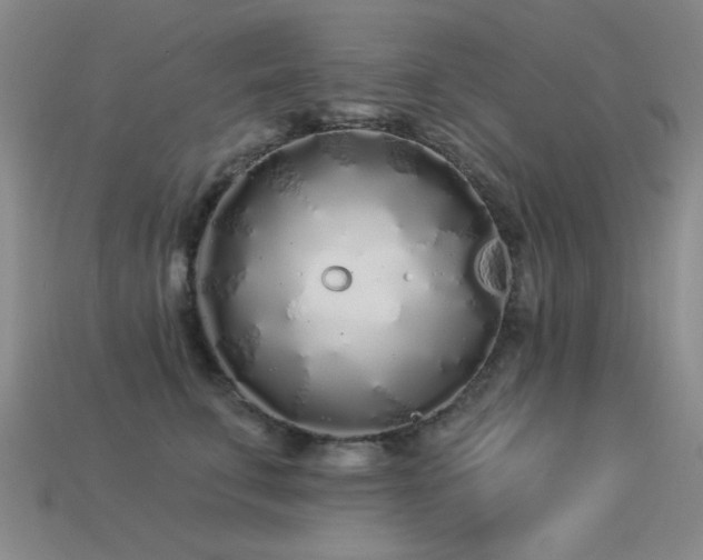 X0000113530711200909181135