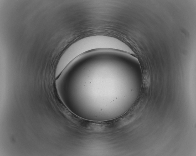 X0000113530713200909181135