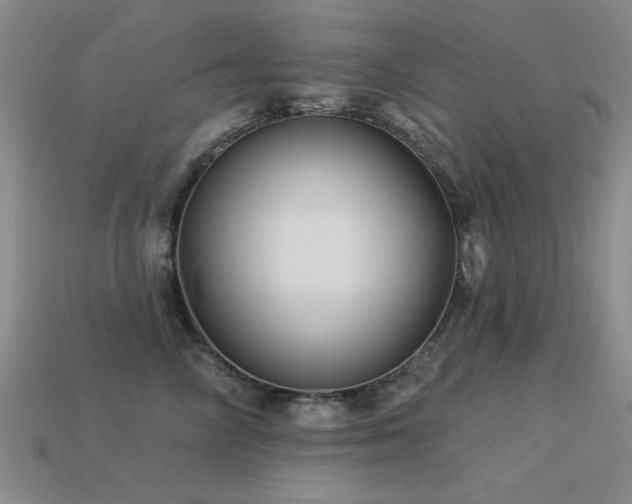 X0000113530714200909181135