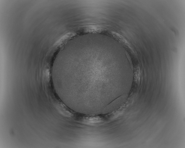 X0000113530716200909181135