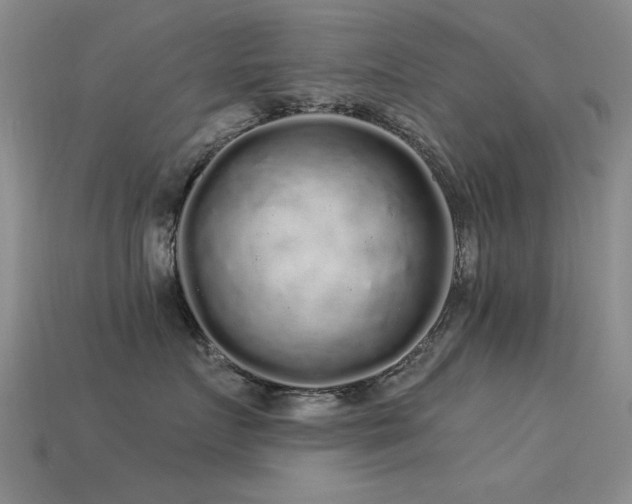X0000113530719200909181135