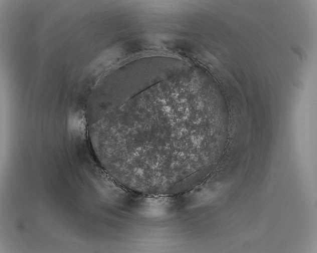 X0000113530720200909181135