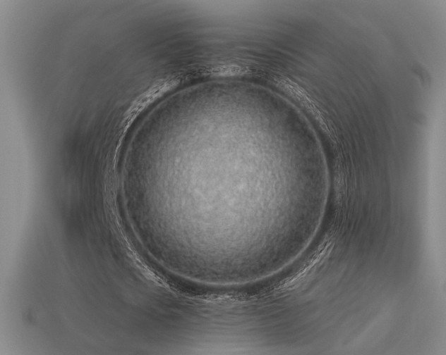 X0000113530721200909181134