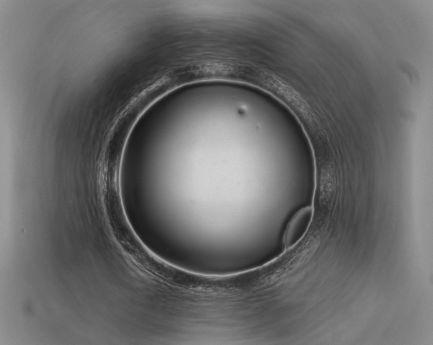 X0000113530722200909181134