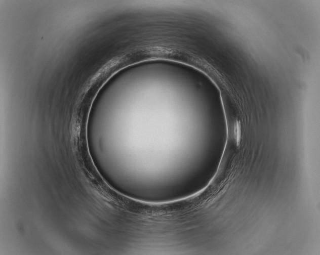 X0000113530723200909181134