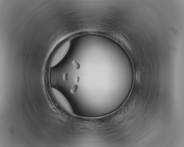 X0000113530724200909181134