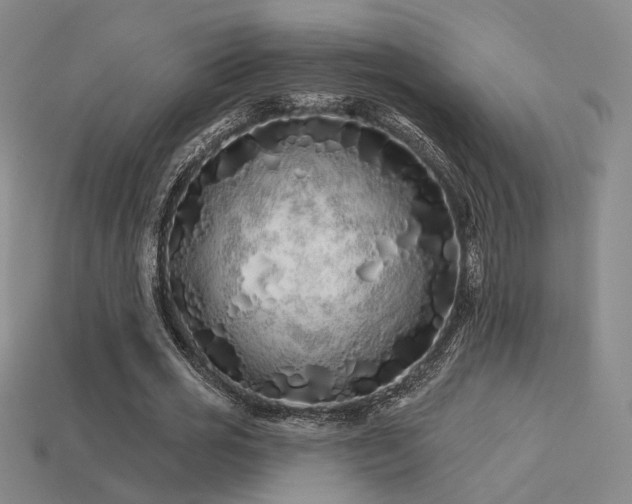 X0000113530725200909181134