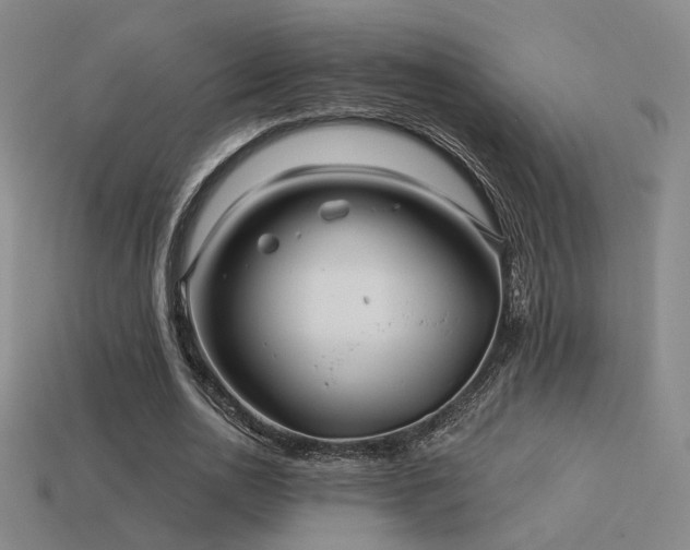X0000113530726200909181134