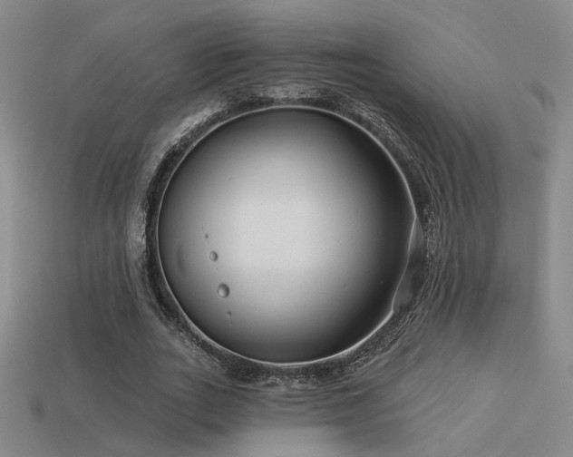 X0000113530727200909181134