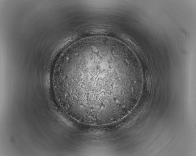 X0000113530729200909181134