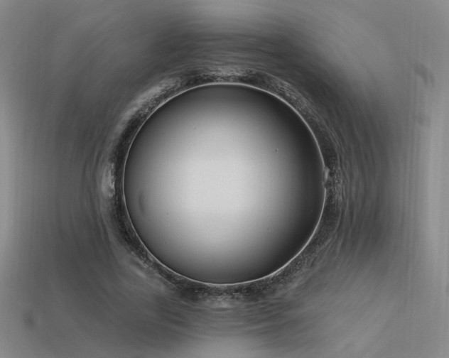 X0000113530731200909181134
