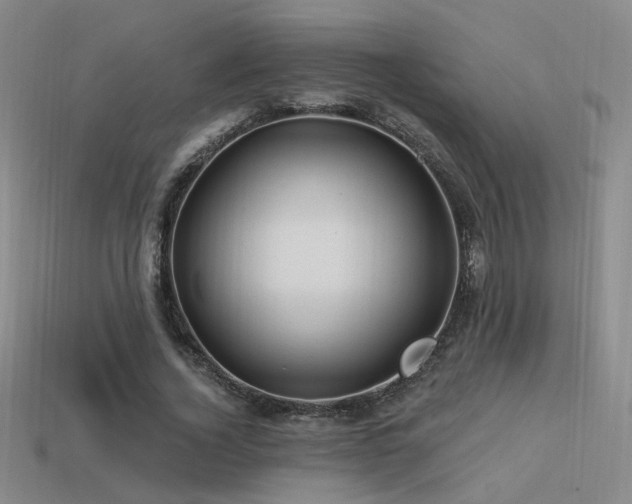 X0000113530732200909181134