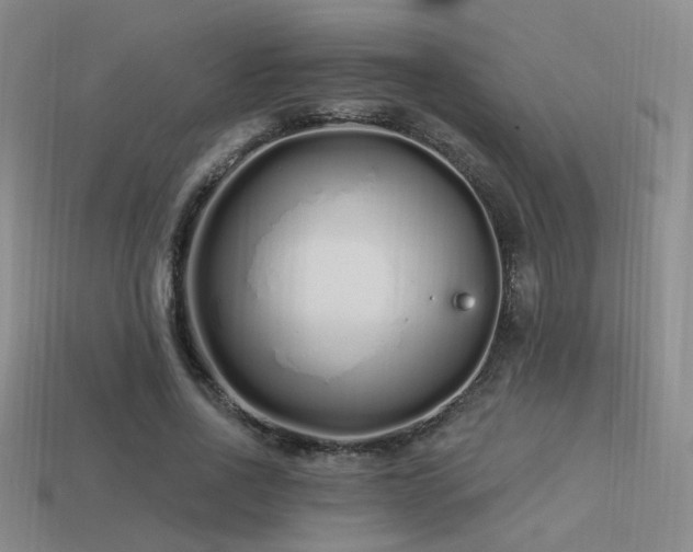 X0000113530734200909181134
