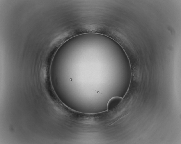X0000113530740200909181134