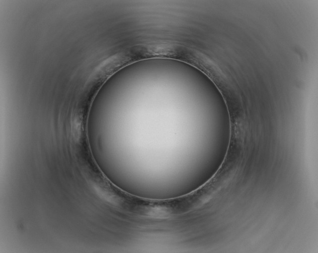 X0000113530741200909181134