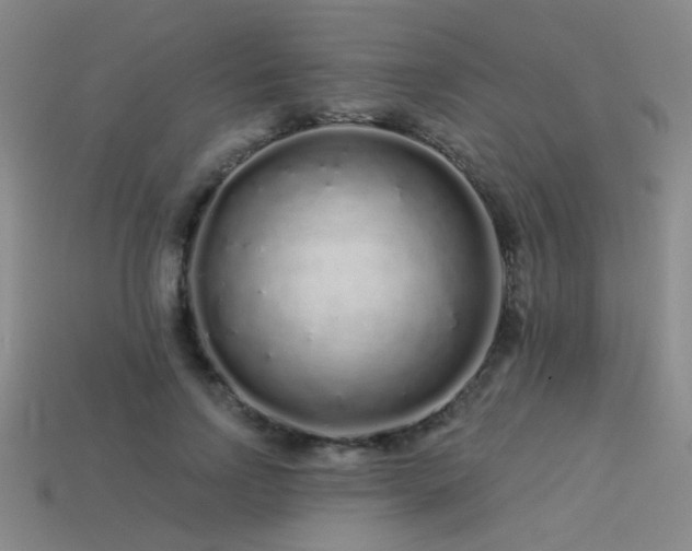 X0000113530742200909181134