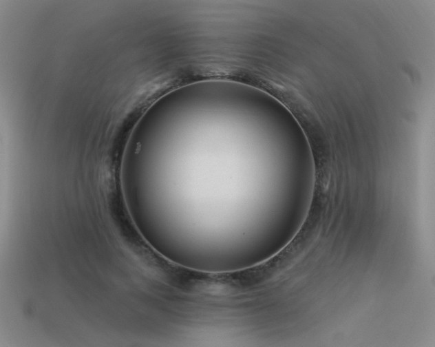 X0000113530743200909181134
