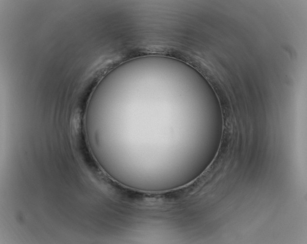 X0000113530744200909181134