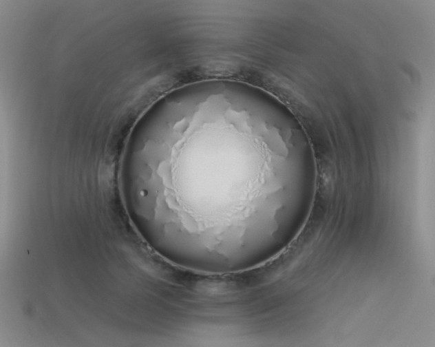 X0000113530745200909181134
