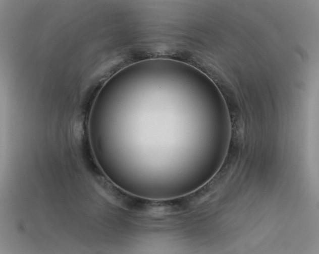 X0000113530746200909181134