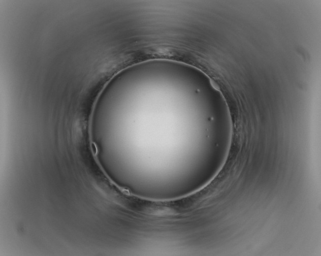 X0000113530747200909181134