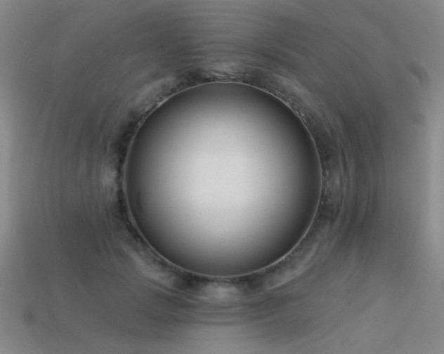 X0000113530749200909181134