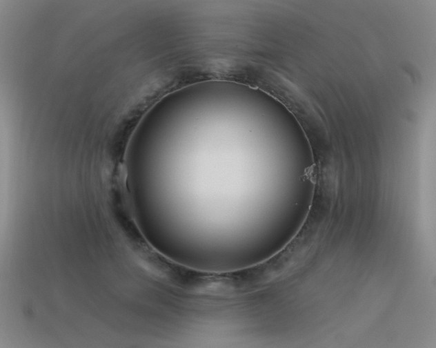 X0000113530750200909181134