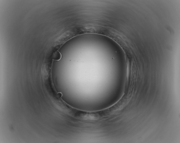 X0000113530751200909181134